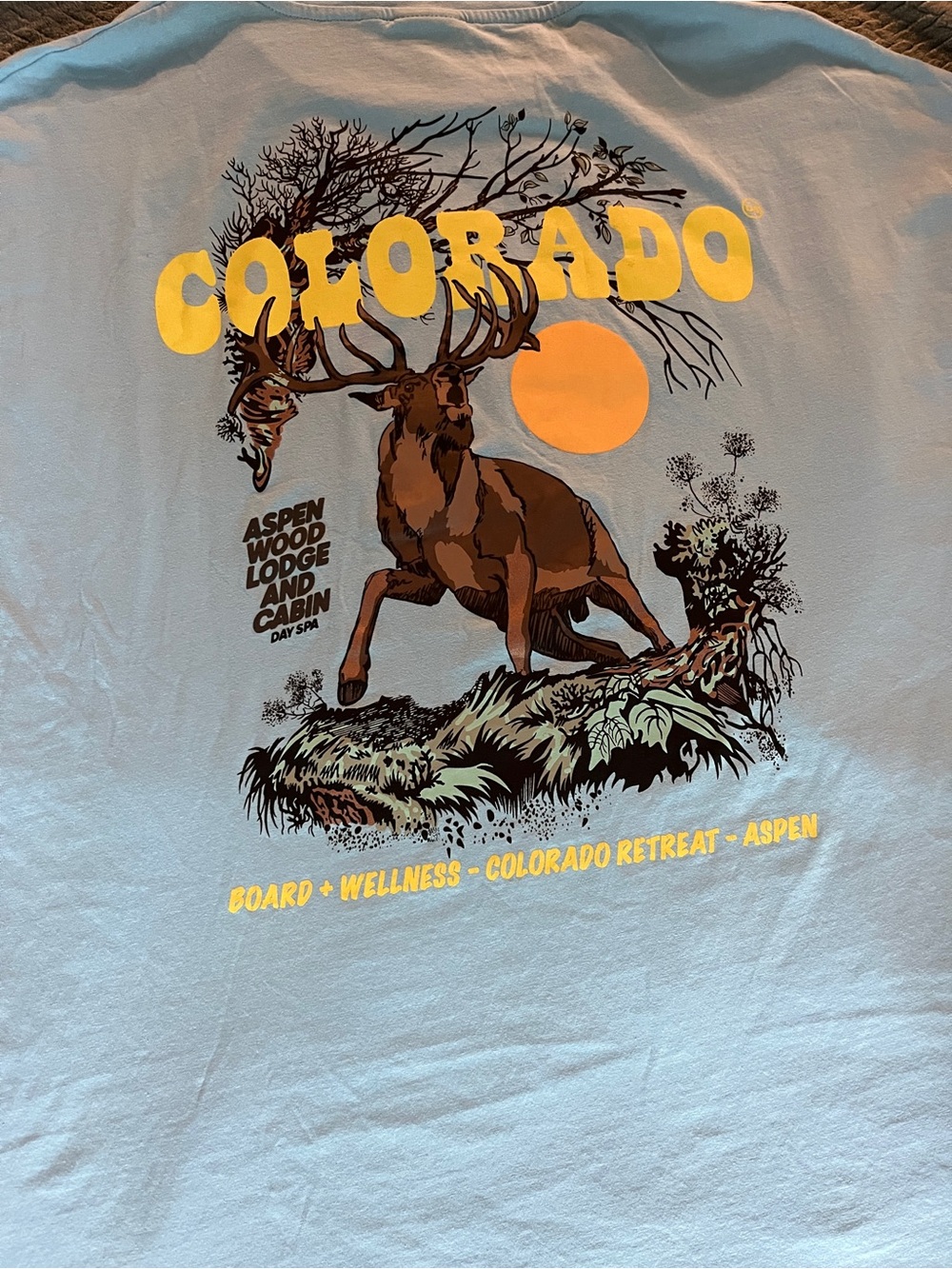 ASOS Colorado Elk Graphic Tee - Light Blue with Yellow Print